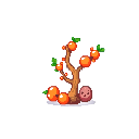 Coral Piece