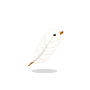 Feather