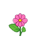 Petal
