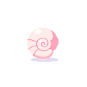 Seashell