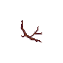 Twig
